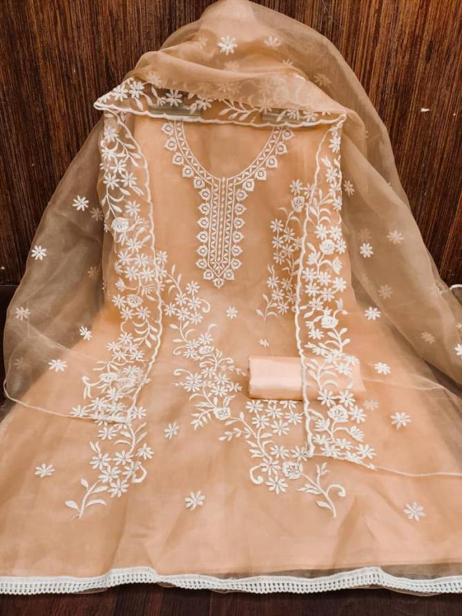 Ds By Designer Suit Organza Silk Non Catalog Dress Material Wholesale Suppliers In Mumbai
